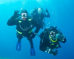 Divers underwater